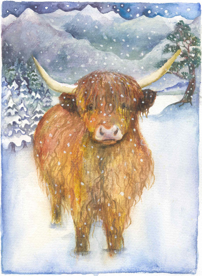 Highland cow - out of stock