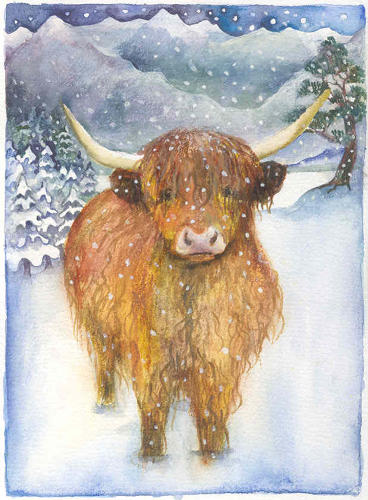 Highland cow - out of stock