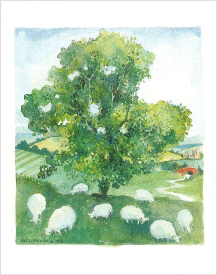 Sheep under the tree