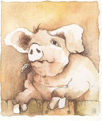 Old boar