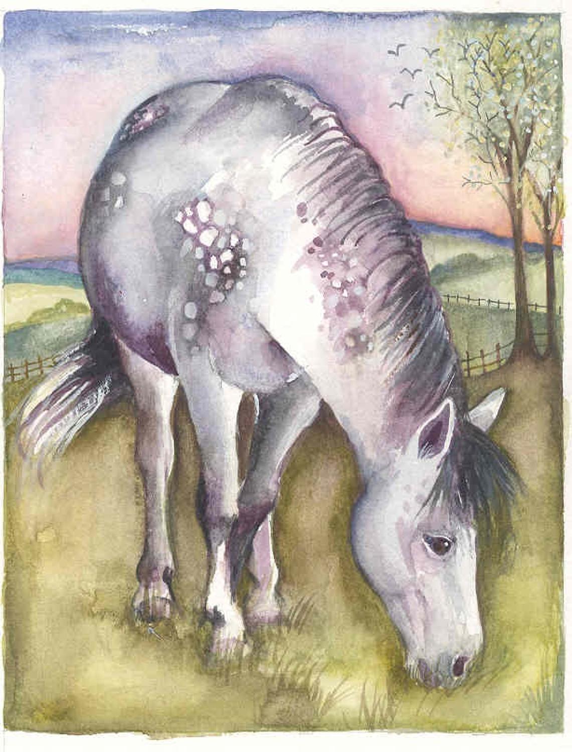 Dapple grey pony