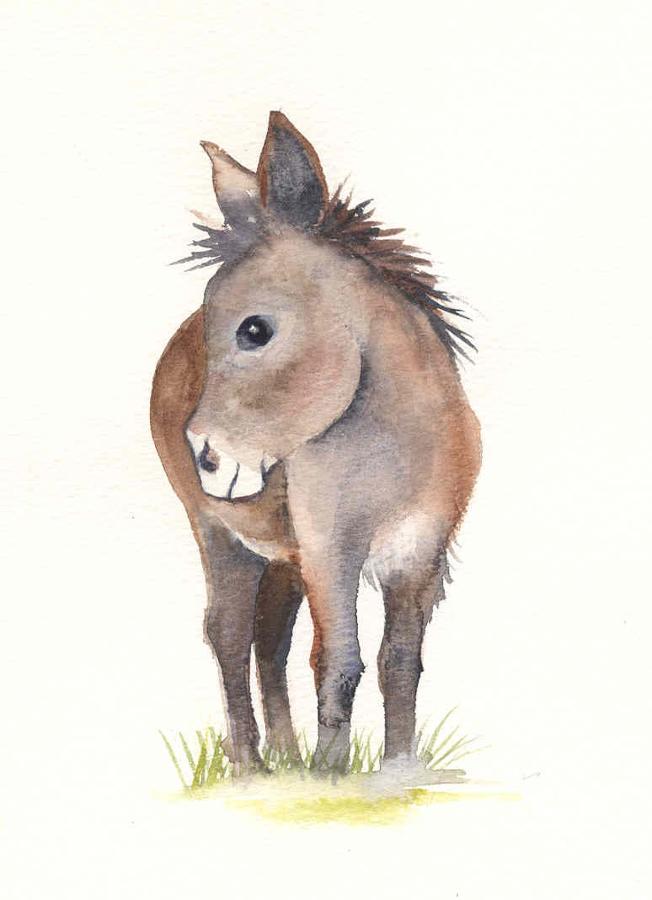 Little brown donkey