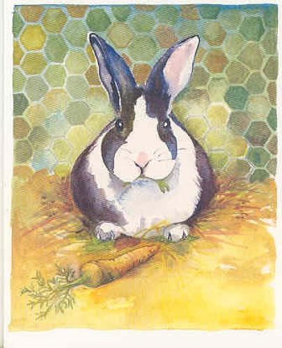 Dutch Rabbit