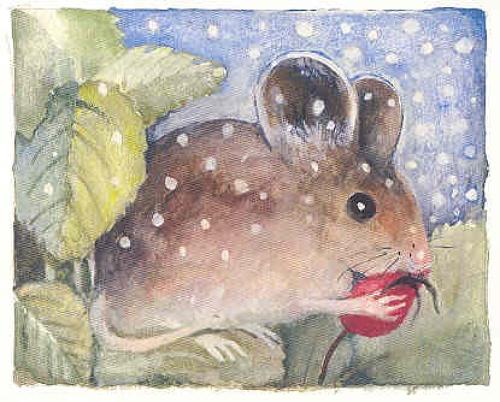 Mouse in the snow