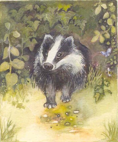 Badger