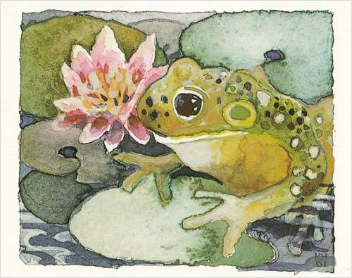 Frog on a lily pad