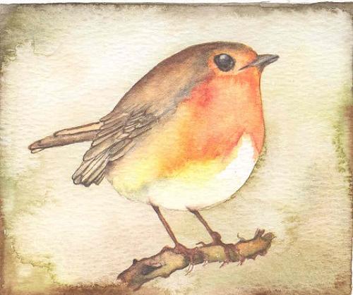 Robin - out of stock