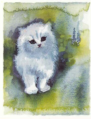 Kitten