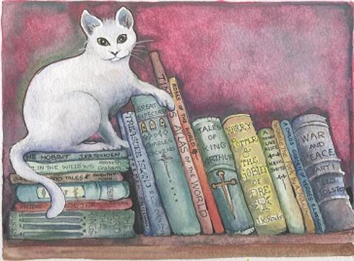 Cat on the bookshelf