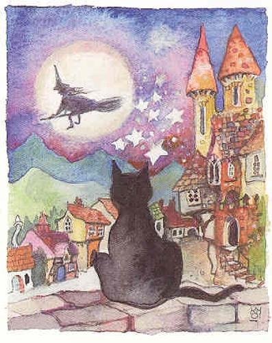 Broomstick cat