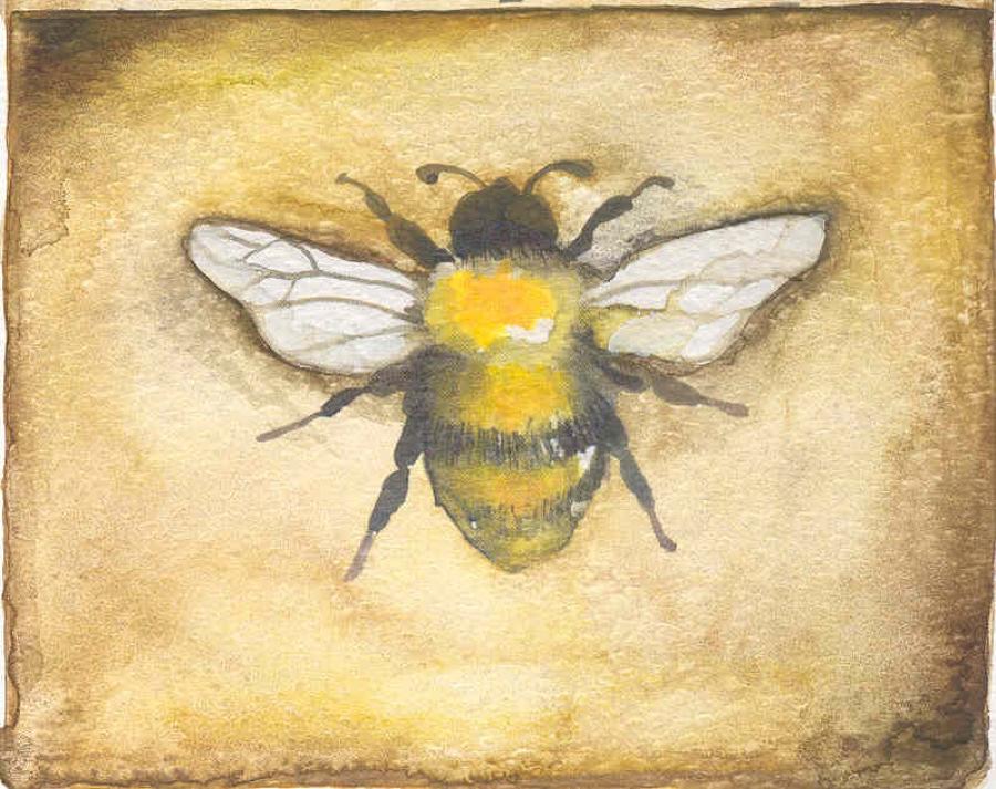 Bumble bee - out of stock