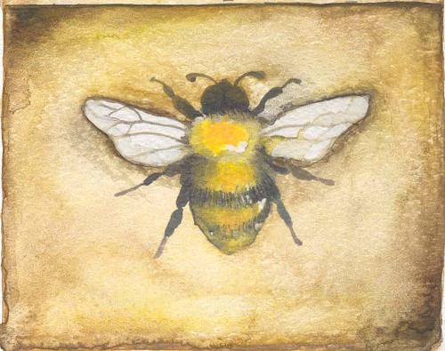 Bumble bee - out of stock