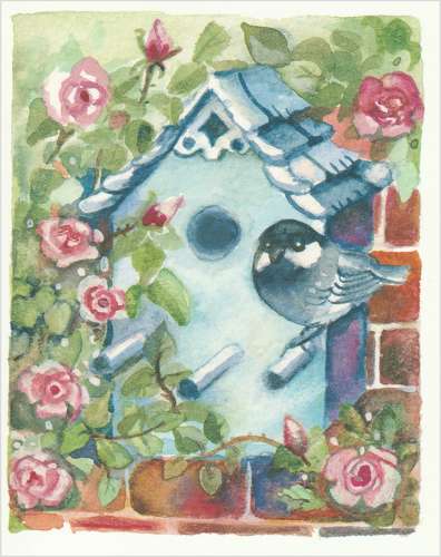 Birdbox & roses