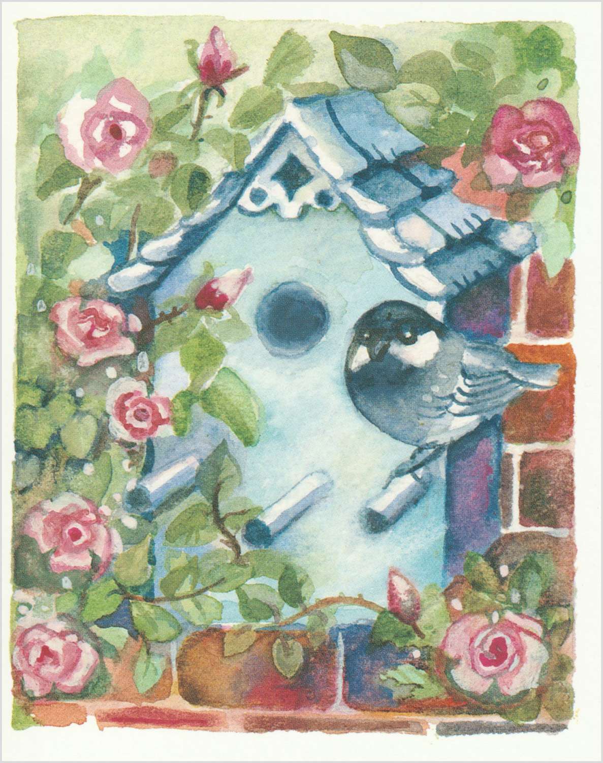 Birdbox & roses