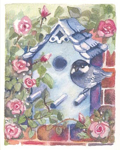 Birdbox & roses