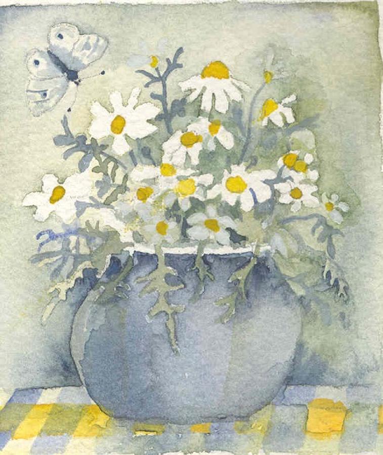 Marguerites & butterfly
