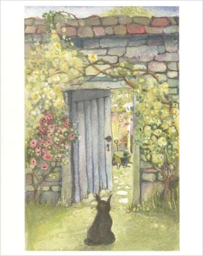 Cat & walled garden