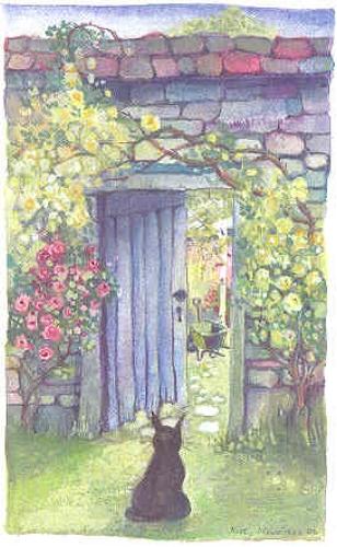 Cat & walled garden