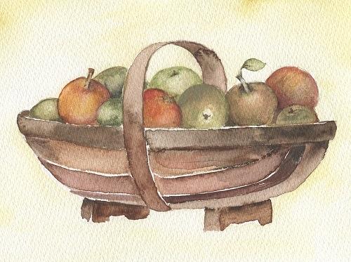 Trug of apples
