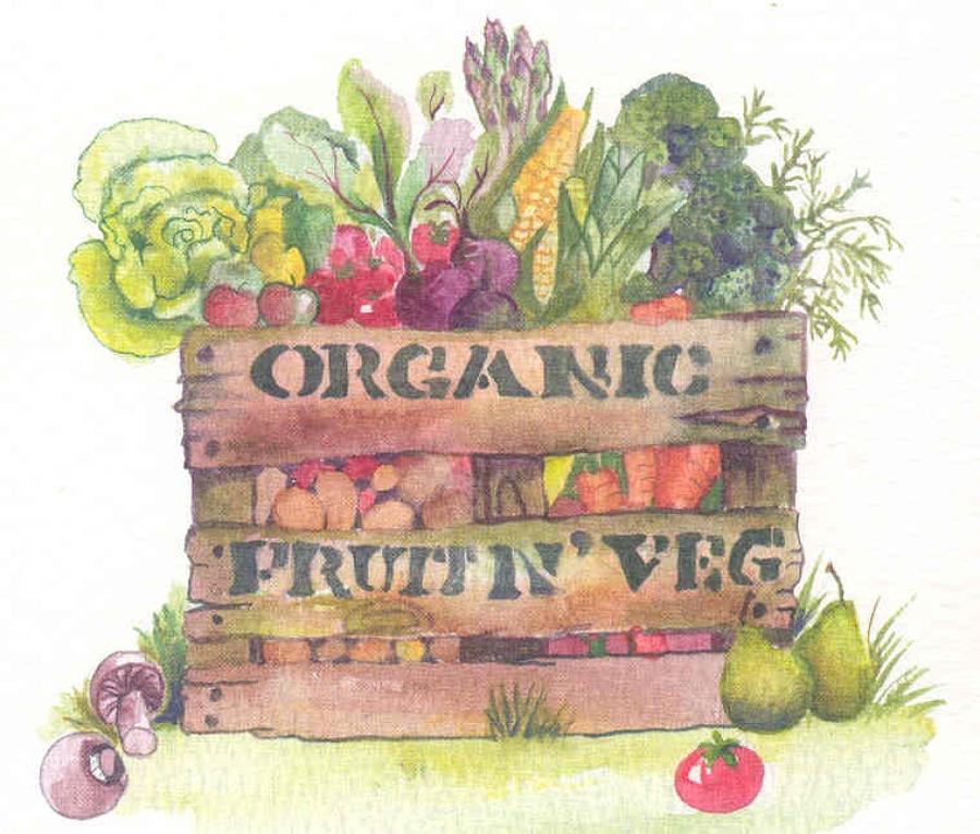Organic fruit n' veg.