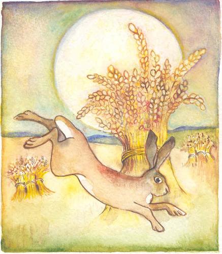 Hare & sun
