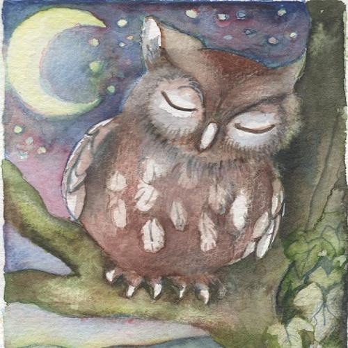 Owl asleep