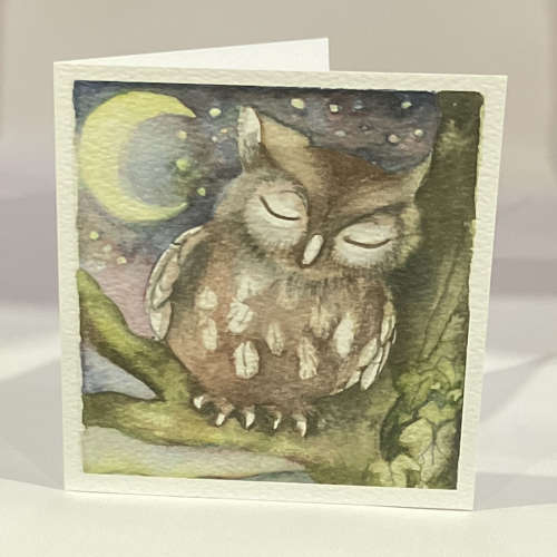 Owl asleep