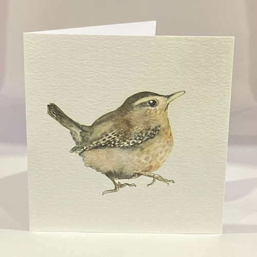 Wren