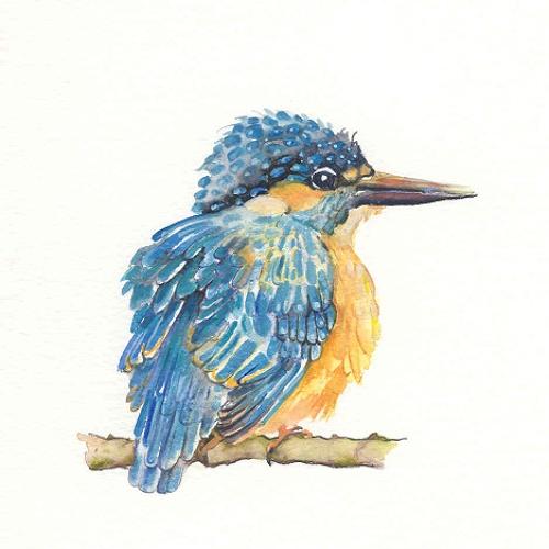 Kingfisher