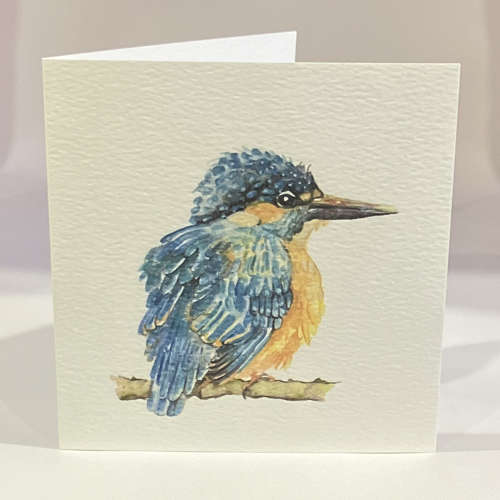 Kingfisher