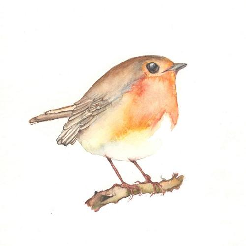 Robin