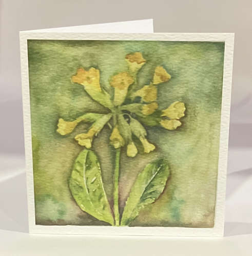 Cowslip
