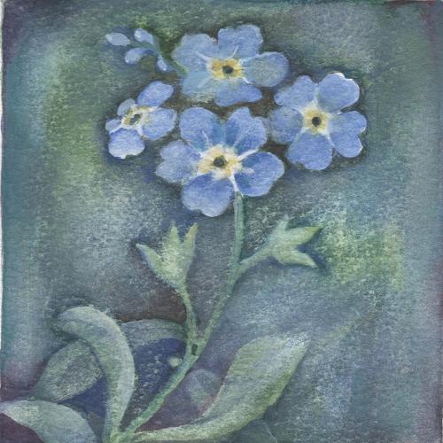 Forget me not