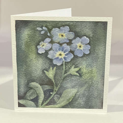 Forget me not