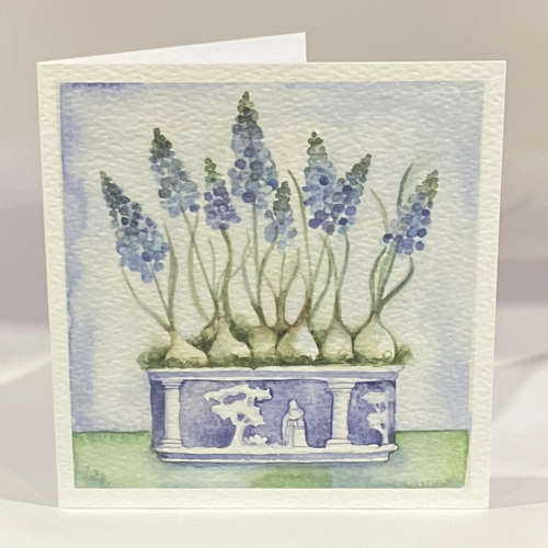 Wedgewood & muscari