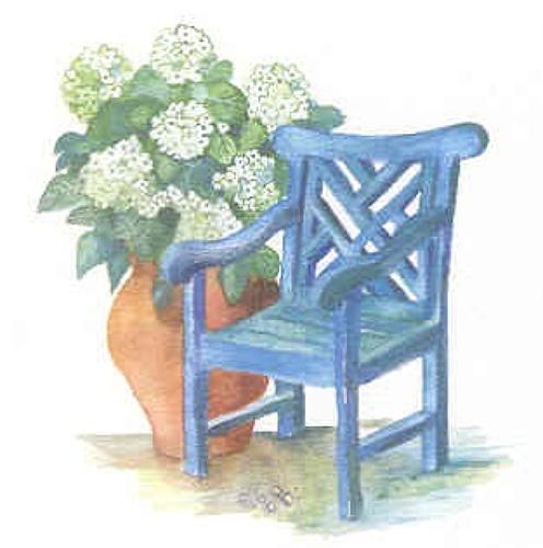 Blue chair, white hydrangea