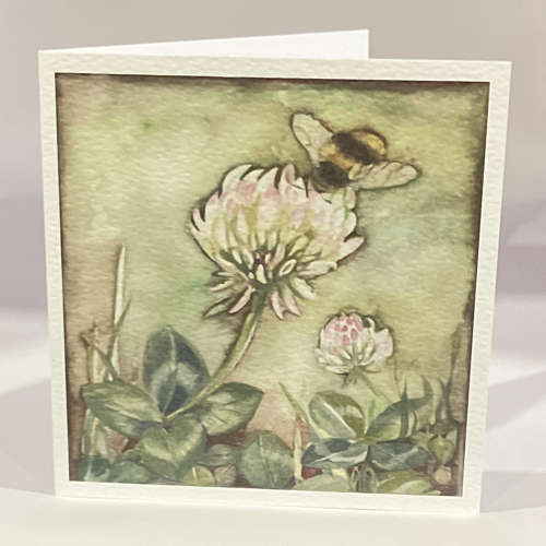 Bee in clover