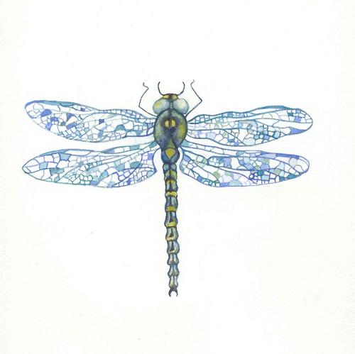 Dragonfly