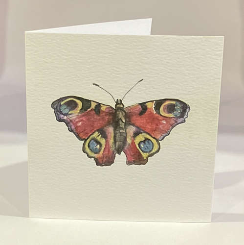 Peacock butterfly