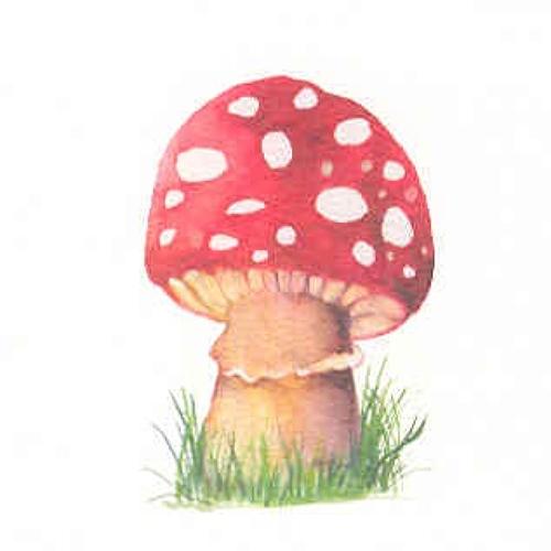 Fly agaric (2)