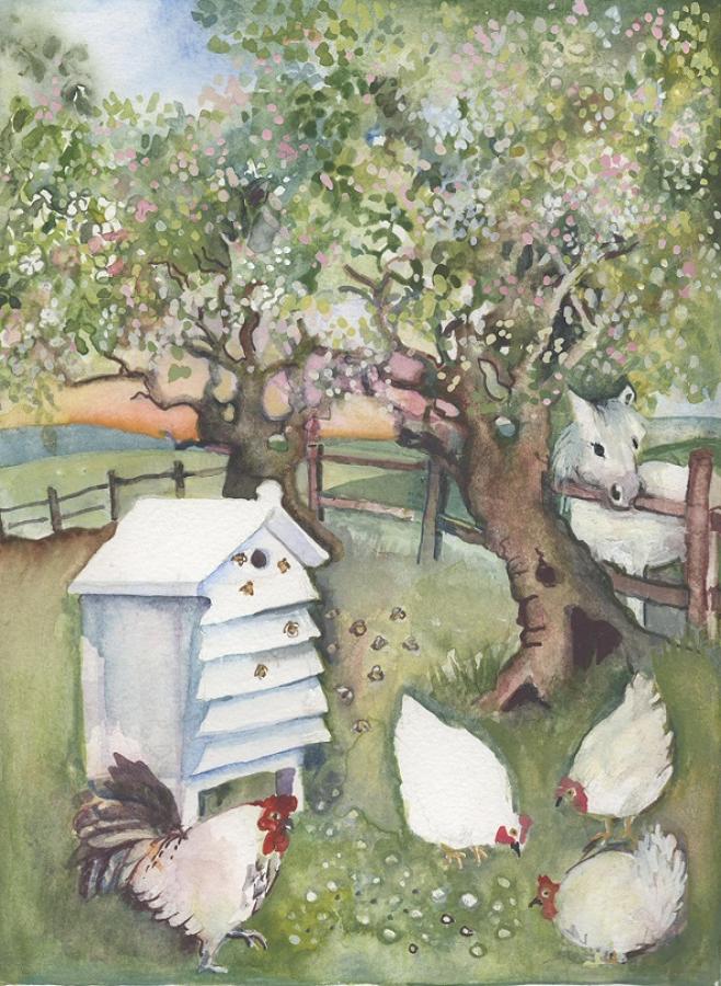 Bees & chickens in the orchard