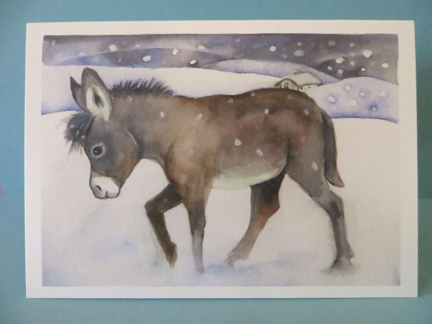 Little donkey in the snow