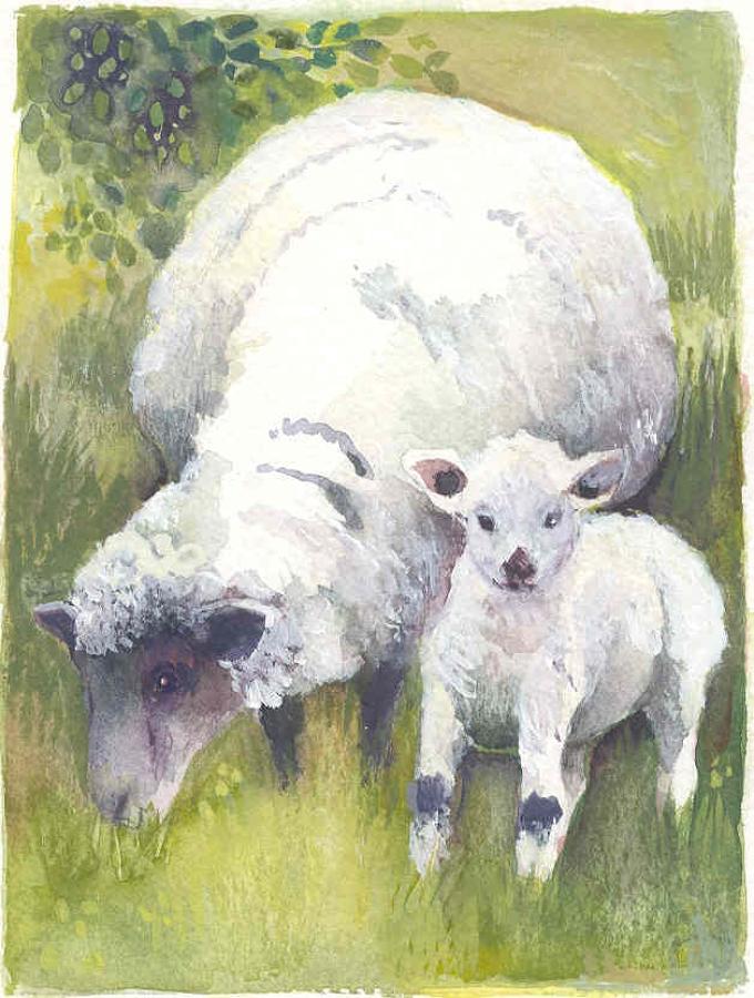 Ewe & lamb