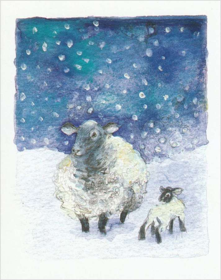 Sheep in the snow