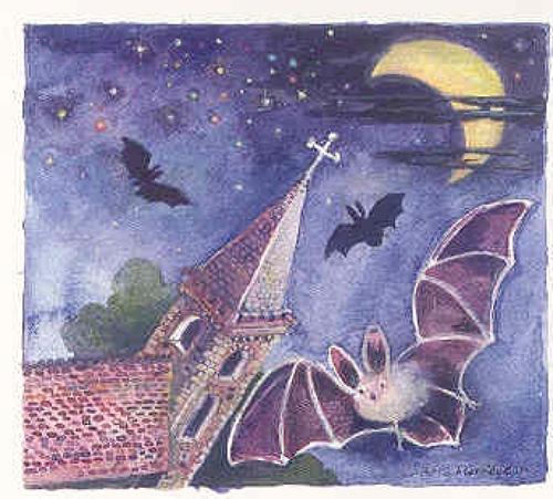 Bats in the belfry