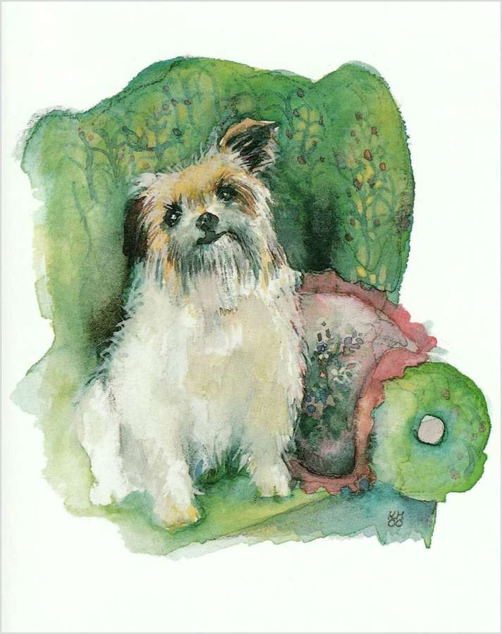 Terrier in an armchair