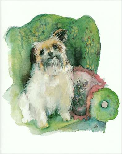 Terrier in an armchair