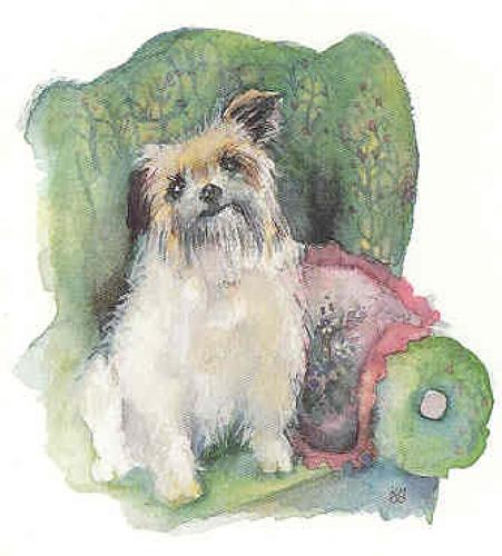 Terrier in an armchair