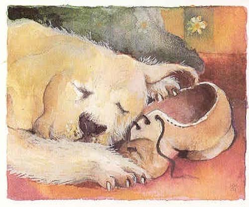 His master's shoe