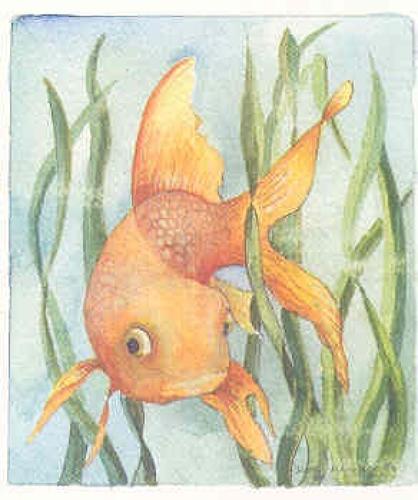 Goldfish